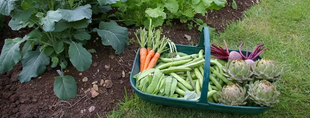 Oficina de Horticultura