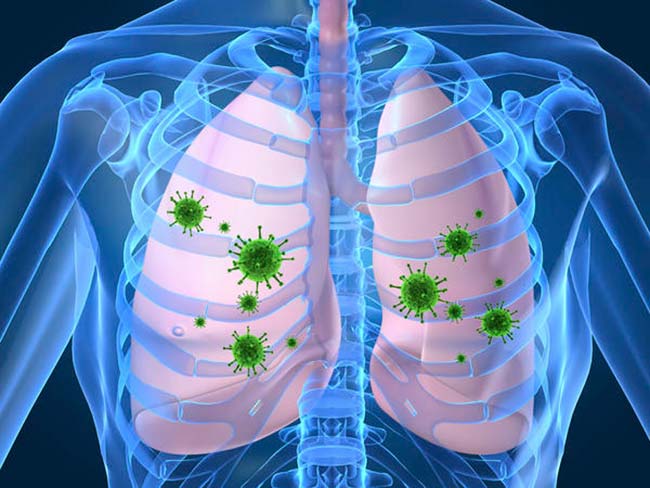 Capacitação de Tuberculose, o público alvo foram os apoiadores de Tuberculose das CAPS 5.1, 5.2 e 5.3.
