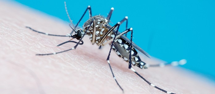 Preenchimento de Planilhas das Arboviroses