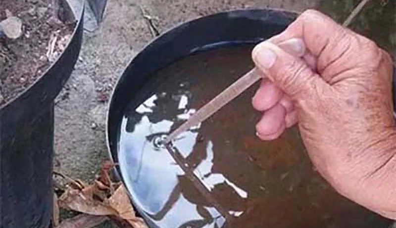 Preenchimento de Planilhas das Arboviroses