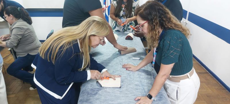 Treinamento de DIU para Enfermeiros e Médicos das Unidades de Atenção Primária da AP 5.1, Educação Permanente.