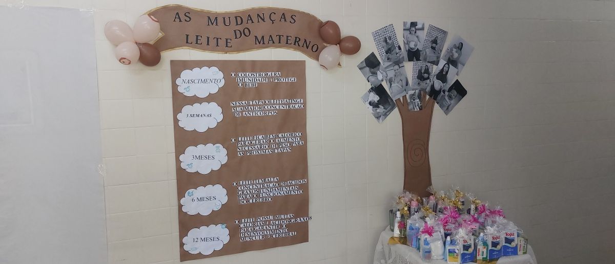 O Aleitamento Materno