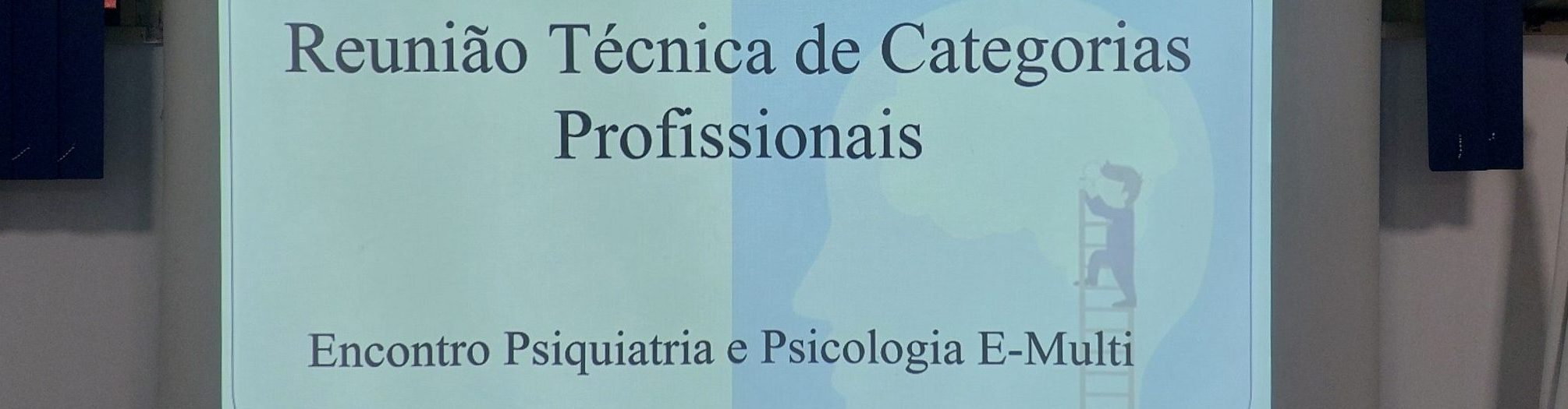 Reunião Técnica de Categorias Profissionais – eMulti