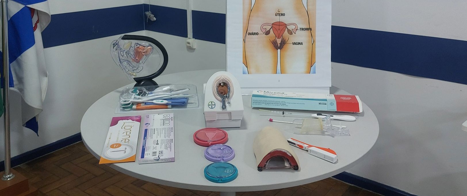 Segundo dia do Treinamento de Planejamento Reprodutivo com foco na Inserção de DIU e Implante Subdérmico